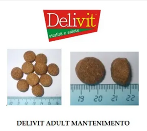 Delivit® Mantenimento з м'ясом, злаками та вітамінами