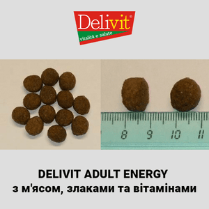 Delivit® Energy - сухий корм з м'ясом, злаками та вітамінами для активних дорослих собак, багатий м’ясом, крупами та вітамінами.