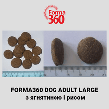 Завантажте зображення у програму перегляду галереї FORMA 360® - сухий корм суперпреміум класу з ягнятиною і рисом для дорослих собак великих порід.
